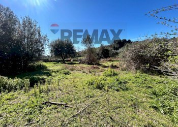 Giardino - Terreno edificabile Formello - foto 18