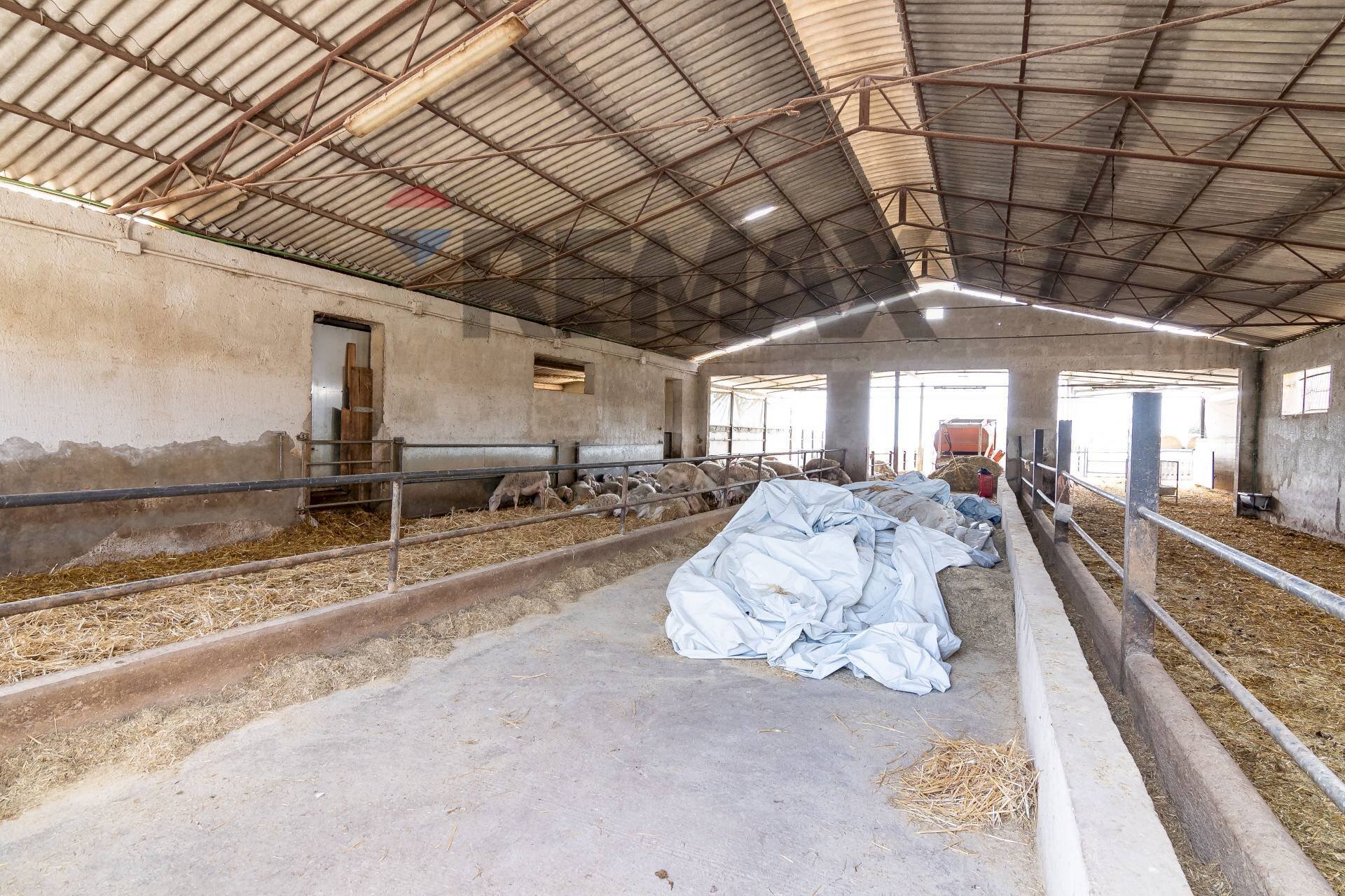 Non correlato - Azienda agricola donnafugata
 
snc, Ragusa - foto 1