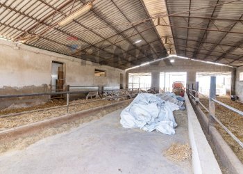 Non correlato - Azienda agricola donnafugata
snc, Ragusa - foto 1