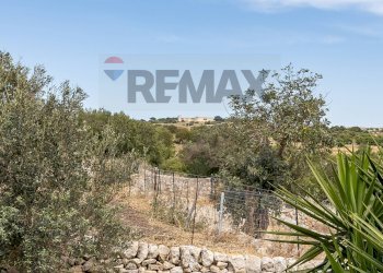 Vista delle montagne - Azienda agricola donnafugata
snc, Ragusa - foto 17