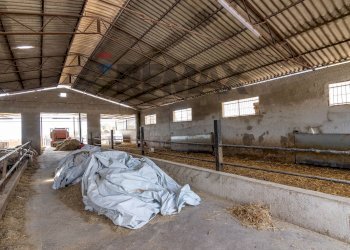Non correlato - Azienda agricola donnafugata
snc, Ragusa - foto 21