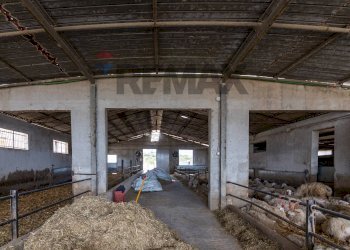 Parcheggio - Azienda agricola donnafugata
snc, Ragusa - foto 22