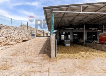 Parcheggio - Azienda agricola donnafugata
snc, Ragusa - foto 23