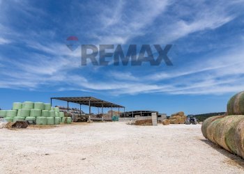 Casa all\'aperto - Azienda agricola donnafugata
snc, Ragusa - foto 24