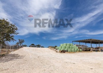 Vista dell\'acqua - Azienda agricola donnafugata
snc, Ragusa - foto 25
