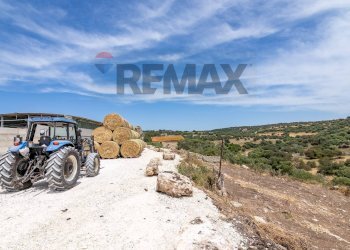 Vista delle montagne - Azienda agricola donnafugata
snc, Ragusa - foto 27