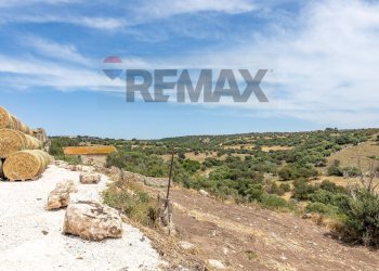 Vista delle montagne - Azienda agricola donnafugata
snc, Ragusa - foto 28