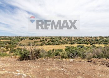 Vista delle montagne - Azienda agricola donnafugata
snc, Ragusa - foto 29