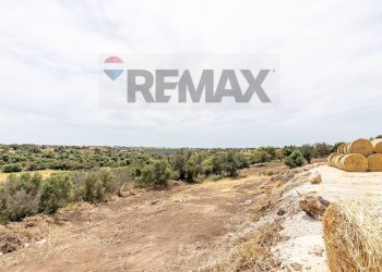 Vista delle montagne - Azienda agricola donnafugata
snc, Ragusa - foto 30
