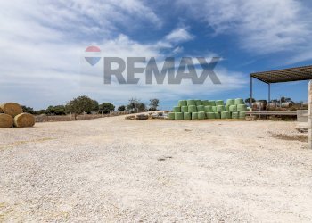 Vista dell\'acqua - Azienda agricola donnafugata
snc, Ragusa - foto 31