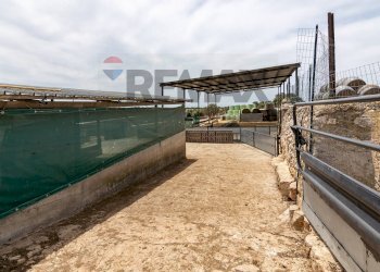 Terrazza - Azienda agricola donnafugata
snc, Ragusa - foto 33