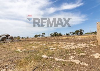 Non correlato - Azienda agricola donnafugata
snc, Ragusa - foto 34