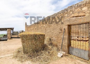 Casa all\'aperto - Azienda agricola donnafugata
snc, Ragusa - foto 37