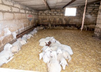 Non correlato - Azienda agricola donnafugata
snc, Ragusa - foto 44