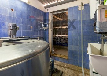 Bagno - Azienda agricola donnafugata
snc, Ragusa - foto 47
