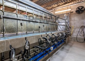 Palestra - Azienda agricola donnafugata
snc, Ragusa - foto 49