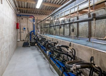 Palestra - Azienda agricola donnafugata
snc, Ragusa - foto 50