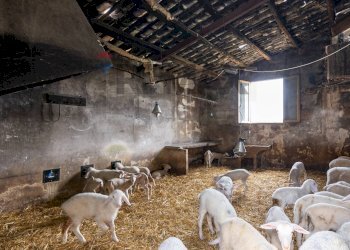 Soggiorno - Azienda agricola donnafugata
snc, Ragusa - foto 51