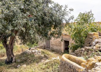 Giardino - Azienda agricola donnafugata
snc, Ragusa - foto 52