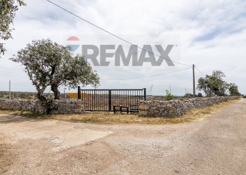 Non correlato - Azienda agricola donnafugata
snc, Ragusa - foto 55