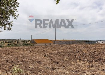 Non correlato - Azienda agricola donnafugata
snc, Ragusa - foto 57