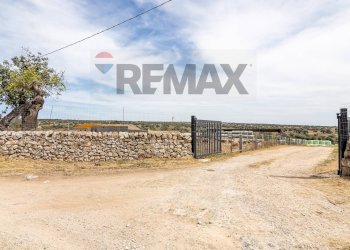 Non correlato - Azienda agricola donnafugata
snc, Ragusa - foto 58