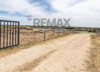 Non correlato - Azienda agricola donnafugata
snc, Ragusa - foto 59