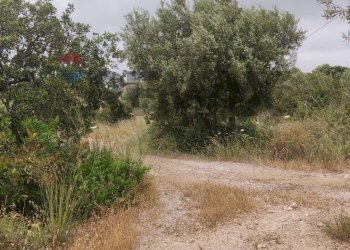 Giardino - Rustico CONTRADA GRATTALURI, Noto - foto 11