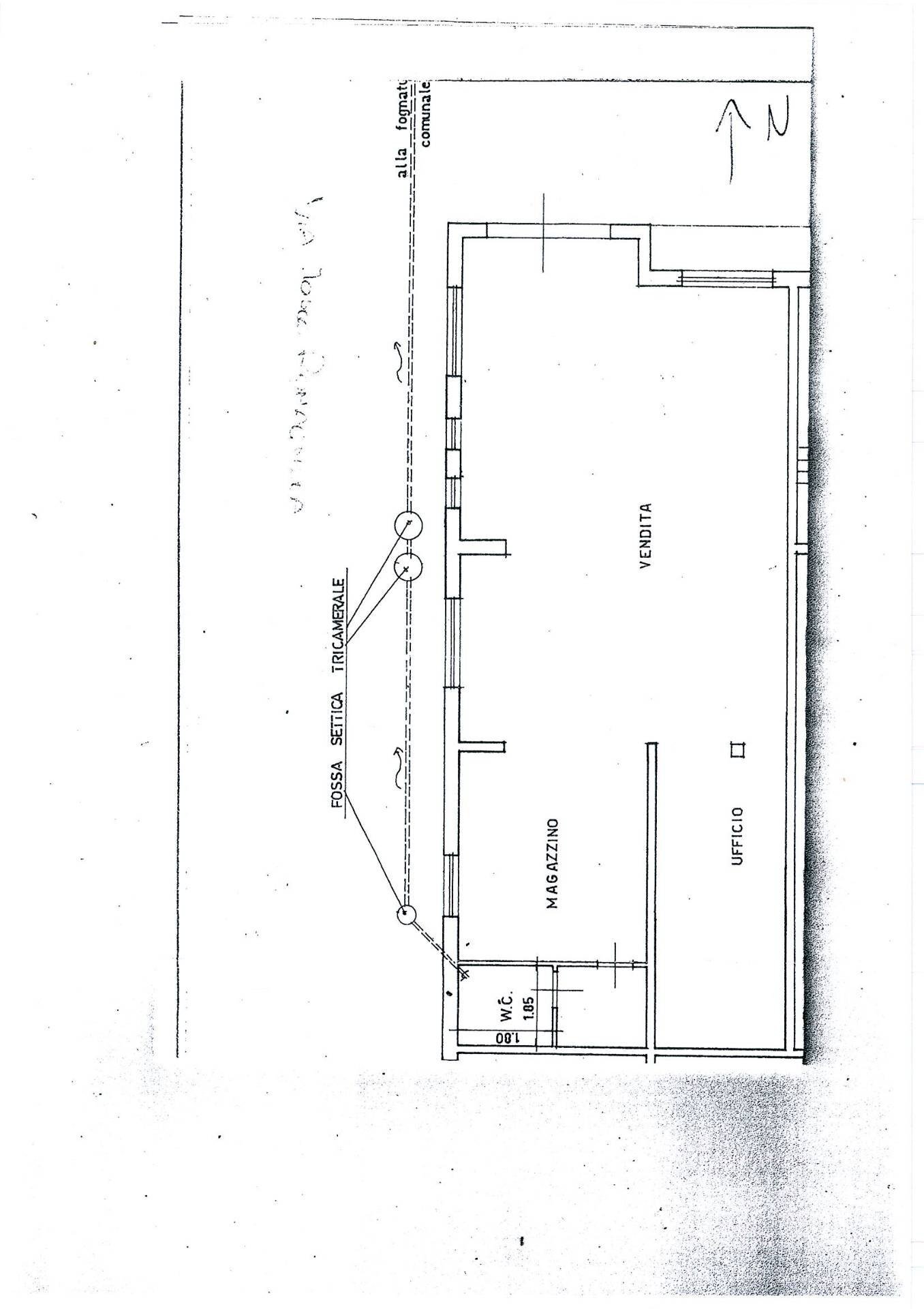 Foto 6 - Attività Commerciale via Tosco Romagnola
 
153, Cascina - planimetria 1