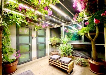 Terrazza - Independent house Via Francesco Crispi
 
90, Terrasini - photo 4