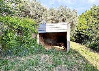 Foto 6 - Rustic via colle in su, Acquaviva Picena - photo 6