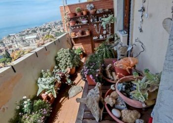 Terrazzo - Trilocale via Fratelli Coda, 71, frazione Quinto Al Mare, Genova - foto 9