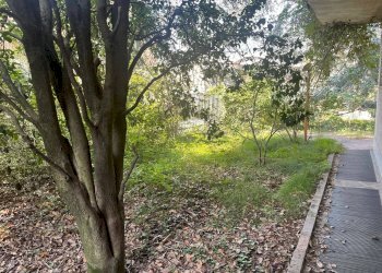 giardino - Villa Fiume Brembo, Vercurago - photo 8