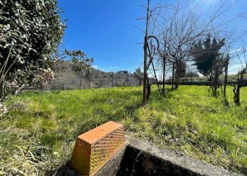 giardino - Villa Piave, Colle Brianza - photo 20