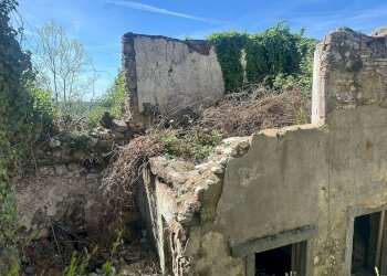 giardino - Rustic Alessandro Volta
9, Cesana Brianza - photo 4