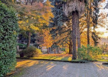 Giardino Privato - Villa Ello - photo 59