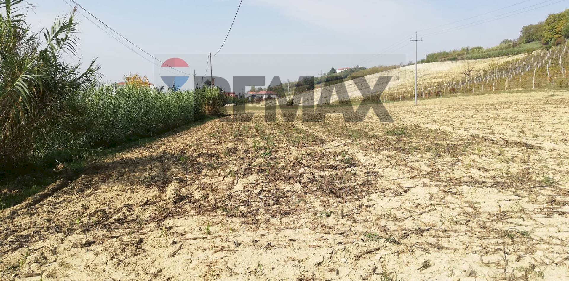 Terreno coltivabile - Agricultural land Maranzana, Mombaruzzo - photo 2