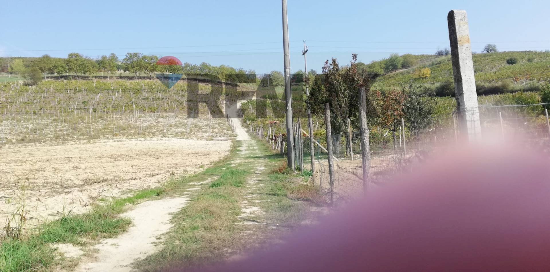 Terreno coltivabile - Agricultural land Maranzana, Mombaruzzo - photo 3