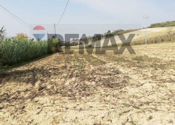 Terreno coltivabile - Terreno agricolo Maranzana, Mombaruzzo - foto 2