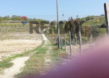 Terreno coltivabile - Terreno agricolo Maranzana, Mombaruzzo - foto 3
