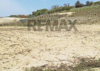 Terreno coltivabile - Terreno agricolo Maranzana, Mombaruzzo - foto 5