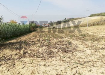 Terreno coltivabile - Terreno agricolo Maranzana, Mombaruzzo - foto 6