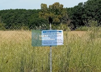 Foto 1 - Agricultural land Via Val di Fassa
 
5, Nettuno - photo 1
