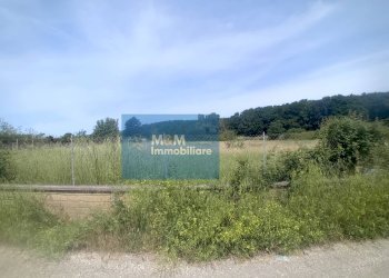 Foto 9 - Agricultural land Via Val di Fassa
 
5, Nettuno - photo 9