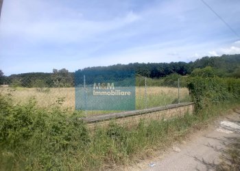 Foto 11 - Agricultural land Via Val di Fassa
 
5, Nettuno - photo 11