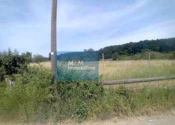 Foto 13 - Agricultural land Via Val di Fassa
 
5, Nettuno - photo 13