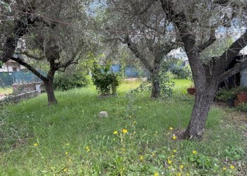 5adda761-ad7b-4432-bd61-2046f2f912cf - Semi-detached house Via dei Pini 2, Luni - photo 12