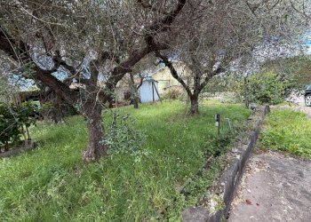 80431fa3-f5ef-48e3-8e60-2c10ca68c29f - Semi-detached house Via dei Pini 2, Luni - photo 13