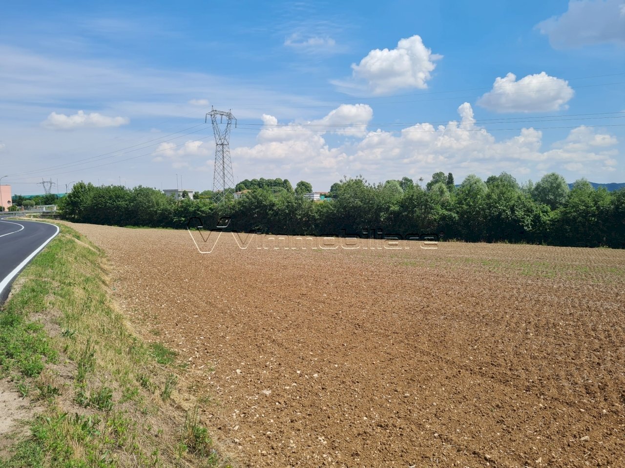1779112075.jpg - Terreno agricolo Via Cà Bassa, Albettone - foto 3