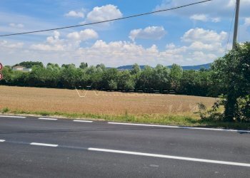 1779112072.jpg - Terreno agricolo Via Cà Bassa, Albettone - foto 1